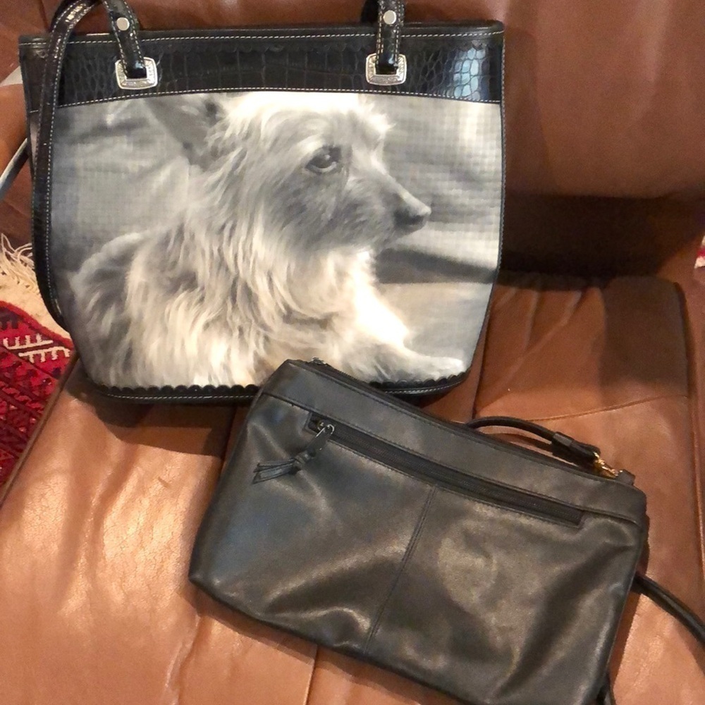 Yorkie silky Doggy Bag with Black Leather Accessory Bag